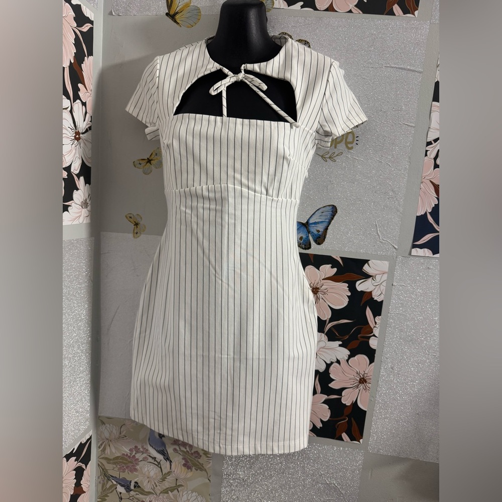 Wild Fable White and Black Striped Mini Dress